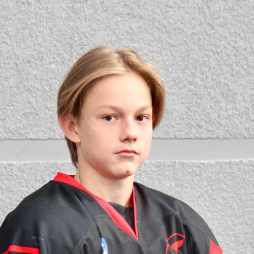 Ustinov Vadim Igorevich