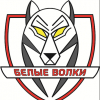 ХК Белые Волки, Архангельск
