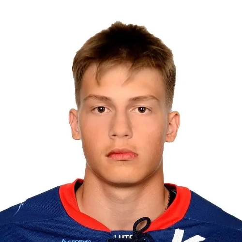 Mihailichenko Ilya Andreevich