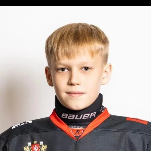 Loginov Nikita Aleksandrovich