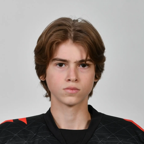 Chernyshov Aleksei Valerevich