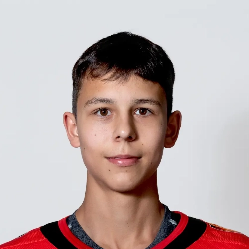 Demenshin Pavel Sergeevich