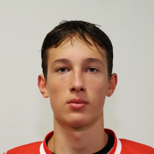 Mirnov Maksim Alekseevich