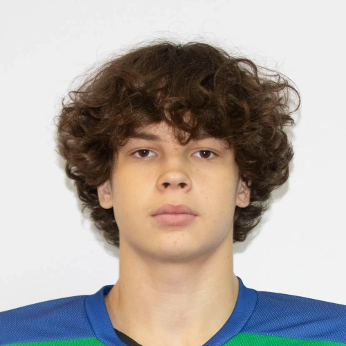 Shavaliev Timur Radikovich