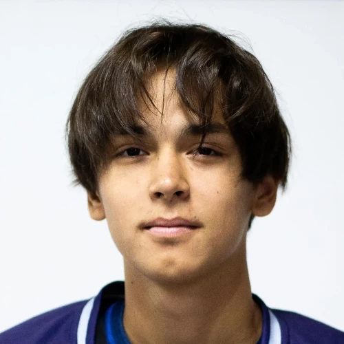 Kolesnikov Denis Alekseevich