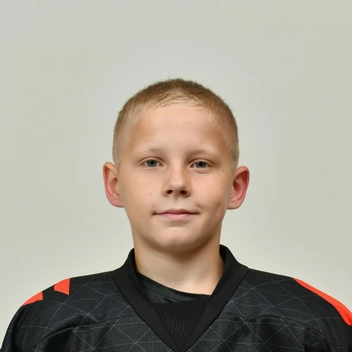Maurer Vladimir Denisovich