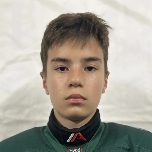 Hakimullin Damir Dinarovich
