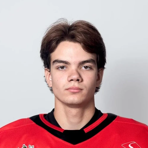 Malinin Pavel Denisovich
