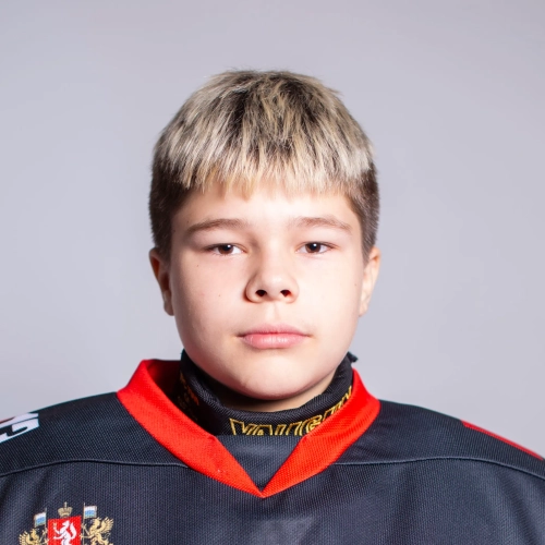 Demidov Dmitrii Evgenevich