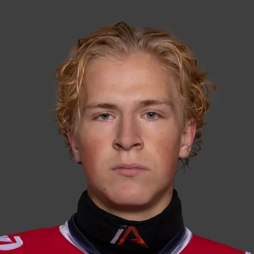 Andrianov Nikita Dmitrievich