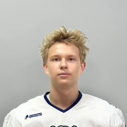Kozhaev Nikita Alekseevich
