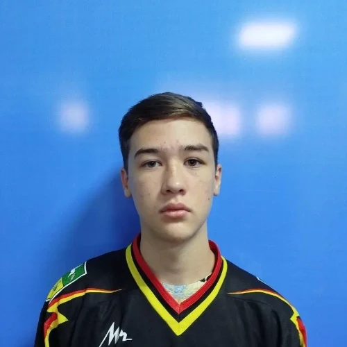 Gospodarenko Mark Artemovich