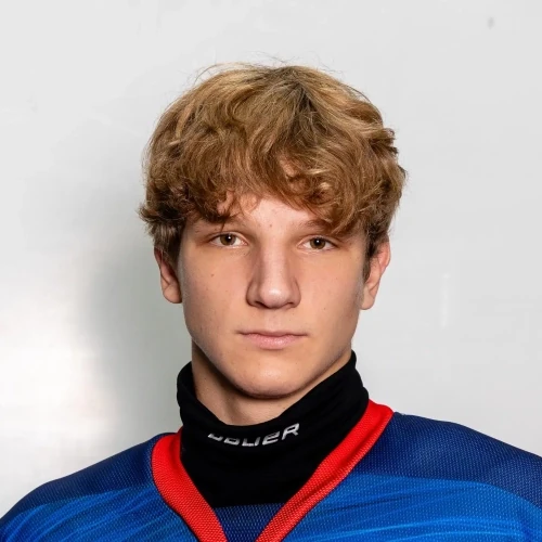 Yamschikov Artem Sergeevich