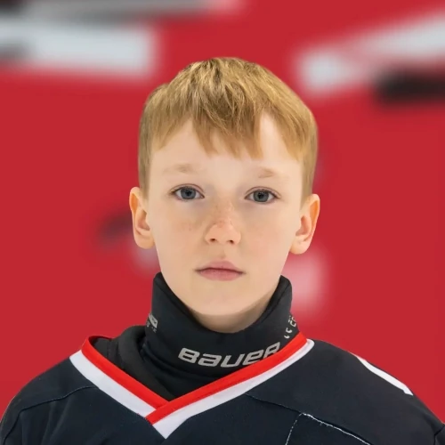Bazarnov Grigorii Igorevich