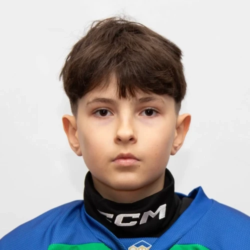 Mandrikin Mihail Stanislavovich