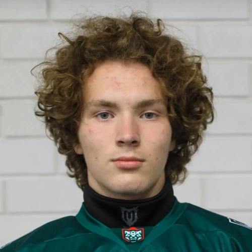 Larionov Aleksandr Viktorovich