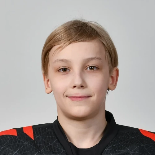 Dikarev Zahar Sergeevich