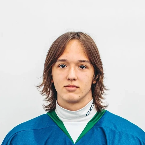 Andrievskii Sergei Sergeevich