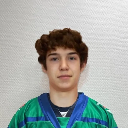 Rybin Ilya Aleksandrovich