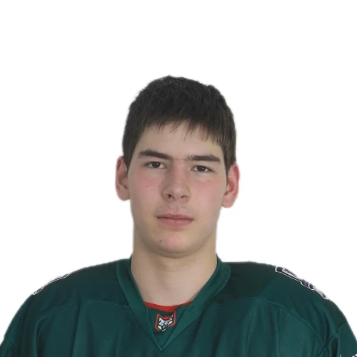 Tsaregorodtsev Stepan Aleksandrovich