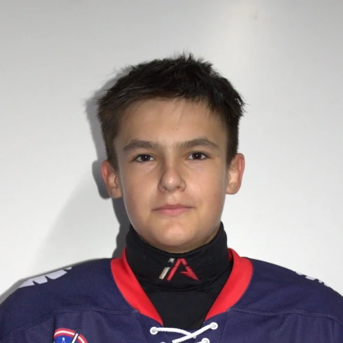 Krivoshlyapin Nikita Sergeevich