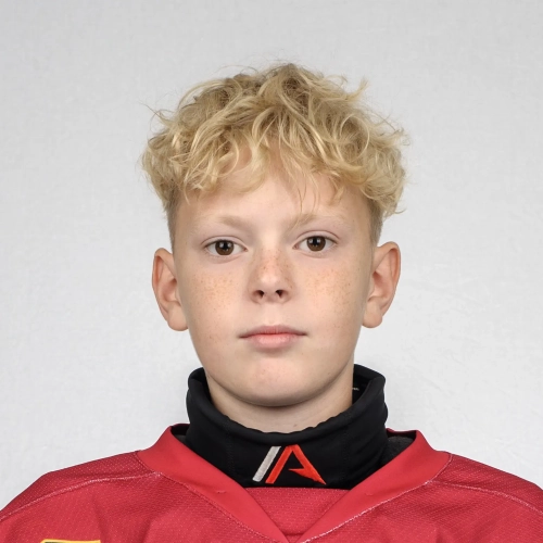 Dobromirov Ivan Dmitrievich
