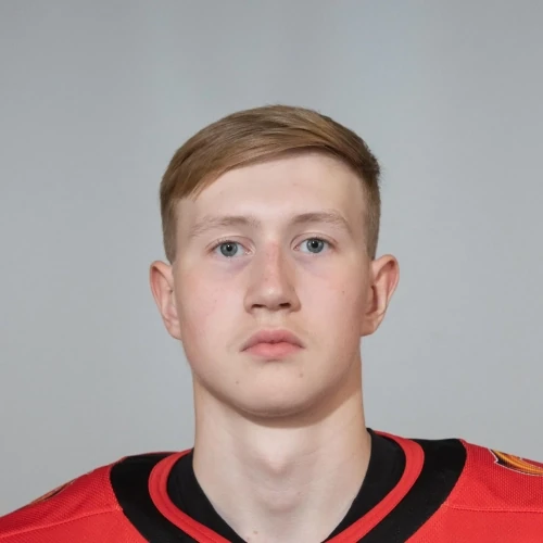 Goryaev Mihail Aleksandrovich