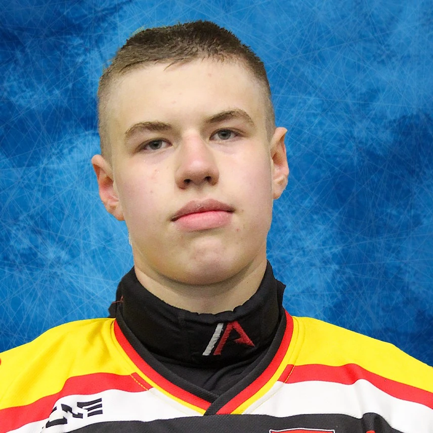 Kamyshnikov Mihail Sergeevich
