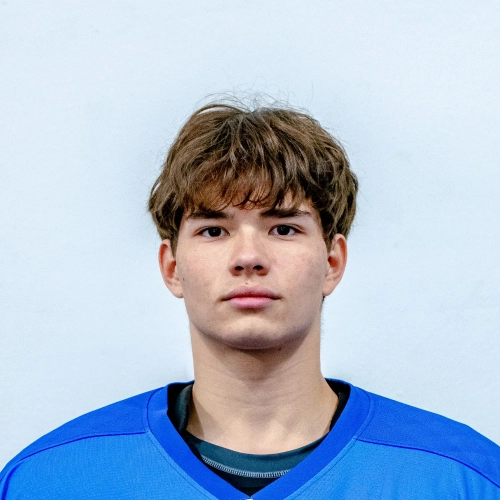 Melnikov Yaroslav Vadimovich