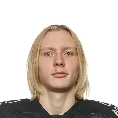 Nikolaev Lev Aleksandrovich