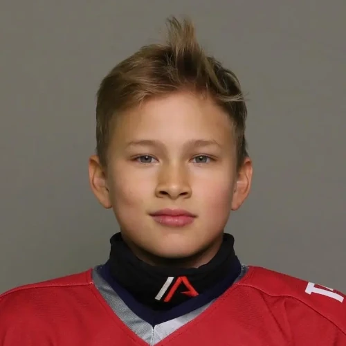Anikeev Mark Timurovich