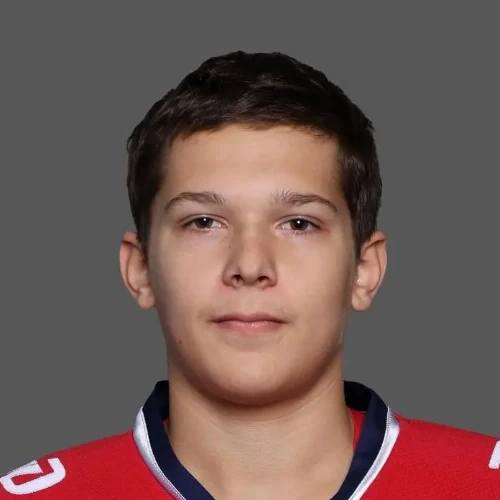 Lopatin Nikita Igorevich