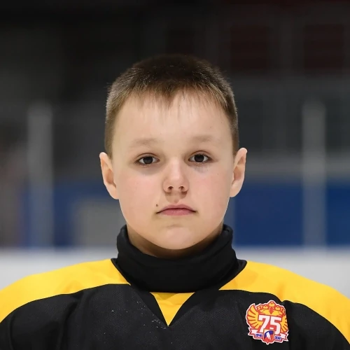 Pogodin Rodion Dmitrievich