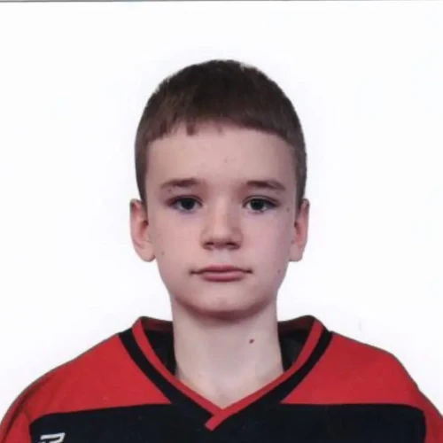 Voronov Dmitrii Vyacheslavovich