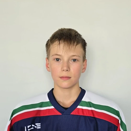 Ibragimov Danis Ilfatovich