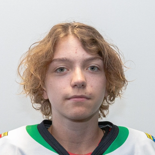 Natalich Mark Alekseevich