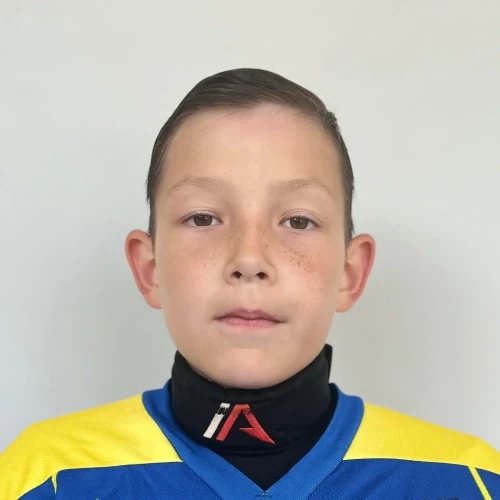 Ahmityanov Danis Rafisovich