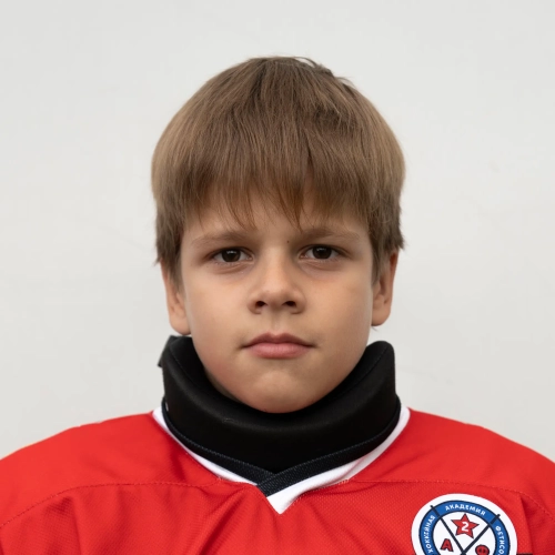 Minaev Ilya Pavlovich