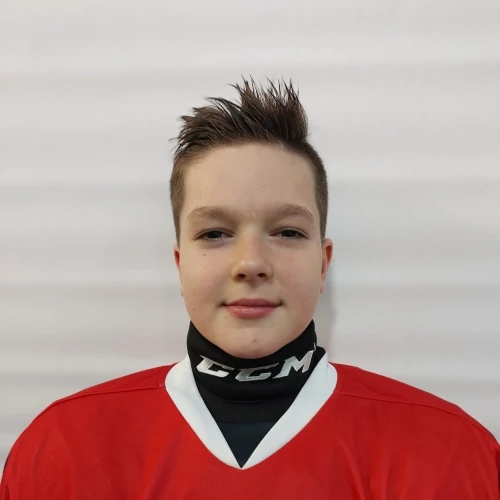 Makarov Dmitrii Alekseevich
