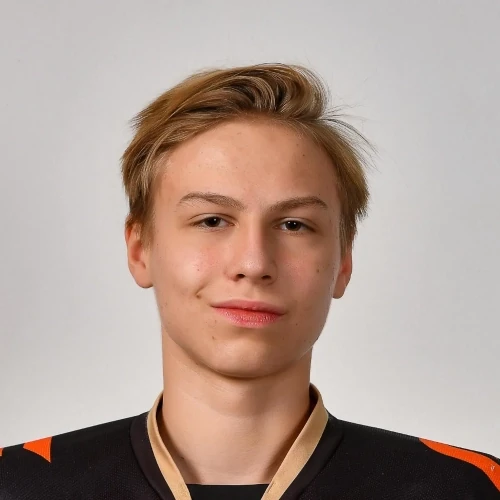 Mihovich Sergei Anatolevich