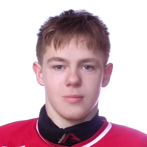 Karlin Artem Denisovich
