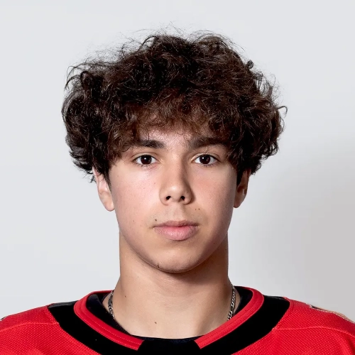 Bykov Stepan Igorevich