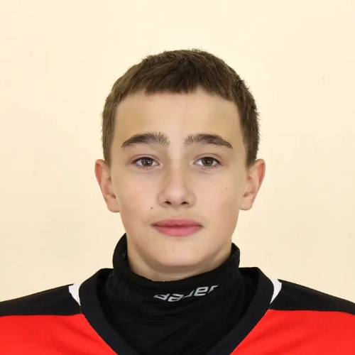 Evstratikov Daniil Artemovich