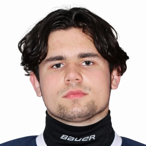 Tishkin Artem Yurevich