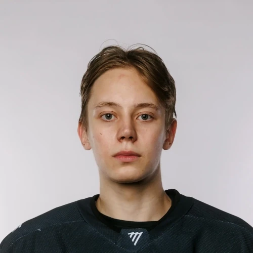 Tretyakov Ilya Vyacheslavovich