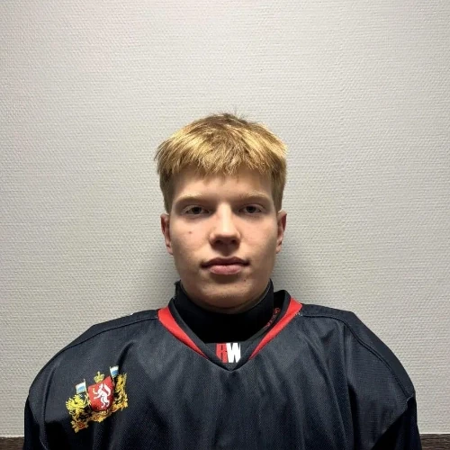 Burenin Kirill Vladimirovich