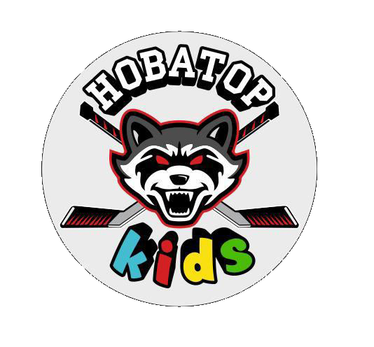 Novator Team