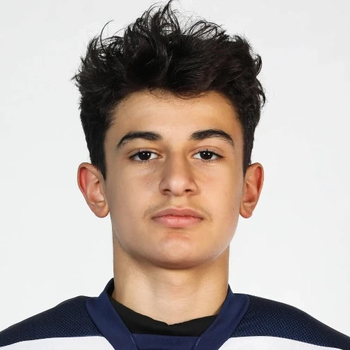 Alahverdov Artem Gerasimovich