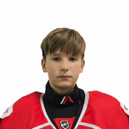 Sologub Fedor Igorevich