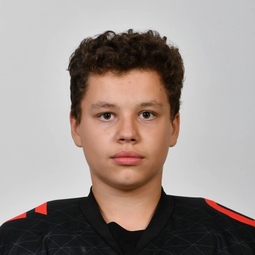 Levkin Andrei Viktorovich